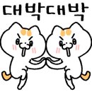 앨리스와인샵