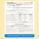 카카오블루 이미지