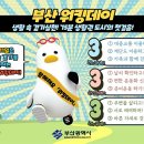 욜로 아이뉴스24
