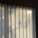 고산민박 이미지