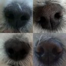 육아 로그 | 6월 일상 | #3주 차 | 남편 육아휴직 | 쌍둥이