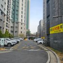 신데렐라헤어 | 초지동 매직 잘하는집 헤어로운 신데렐라 클리닉 후기