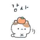 해피고양이분양 이미지