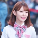 사쿠라 이미지