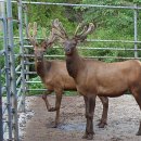 대문안 농장 이미지