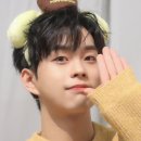 루시핏