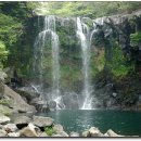 천제연폭포 이미지