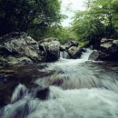숲속계곡 이미지