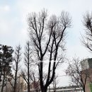 압구정리얼티부동산중개 이미지