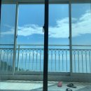 [TRAVEL] 동해 2박 3일 여행 후기 - 대진항, 묵호항