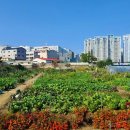 텃밭 이미지
