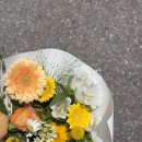 서울꽃화분 | 첫인사선물 리스트 후기 💝 (꽃, 화과자, 화분)