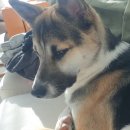 늘 너에개 이미지