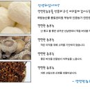 버섯농부가족 이미지