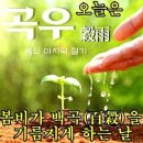 곡우 (穀 雨) 봄의 마지막 절기 이미지