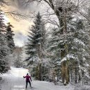 노르딕워킹 이미지