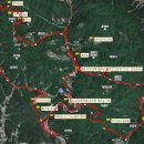 청량산 임도2 이미지