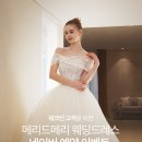 메리드메리