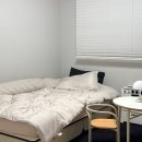 신진SS | 겨울 난방비 아끼는 찐템! 호무로겨울이불 필굿웜 자가발열 알러지케어(SS) 솔직 후기