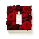 레드로즈 이미지