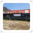 찐곰탕