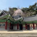 장안한옥 이미지