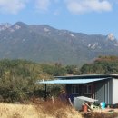 시몬농장 이미지