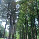 알프스캠핑장 이미지