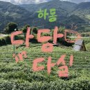 경남 하동 티코스, 다담 문화, 다담 in 다실, 하동 가볼만한곳