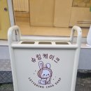 슈링케이크