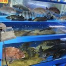 농수산물도매시장 이미지