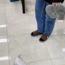 무왕로 이미지