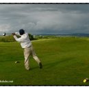 낙하목장 이미지