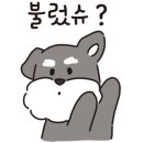 몽띠끄 이미지