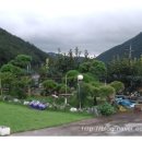 소리당민박 이미지