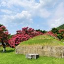 신숭겸장군유적지 이미지