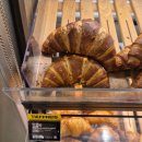 수영구의회 | [베른] 생애 첫 유럽 4일차 / 걸어서 베른 속으로(시내 산책, 아레강 수영)