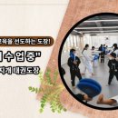 한미르 태권도장 이미지