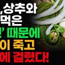 만병의 근원, 인슐린 저항성과 만성염증｜깻잎·상추 활용법, 잔류농약 처리요령｜선잘 24.05.14 이미지