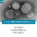 드림포유의원 | 메르스에 떠도는 글들을 모아보겠습니다 진실의 여부는 무검증입니다