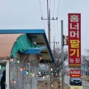 홈딸기농원