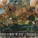 조미경농장 네이버블로그