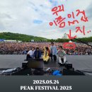 2025 피크페스티벌 첫 후기 [요약: 터치드 💛]