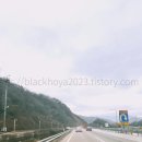 부산여행1편 해운대 호캉스, 웨스틴조선부산 이그제큐티브룸