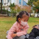 솔바람 유아숲체험원 이미지