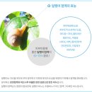 인이네웰빙나라 | [인이네웰빙나라] 천연비누추천, 달팽이 점액 모공팩 천연비누