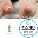 네일델르 이미지