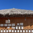 하회로 가는 펜션형민박 | [안동여행] 안동하회마을 운영시간 / 입장료 / 주차 등 구체적인 관광 후기 + 엘리자베스 식수 구경