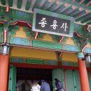 금산인삼종합전시관 이미지