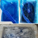 싱싱드림수산 이미지